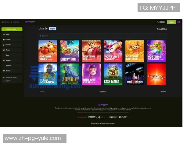 pg电子爱尔兰精灵bug-探究pg电子爱尔兰精灵bug背后的故事与技术深度解析-pg电子爱尔兰精灵bug
